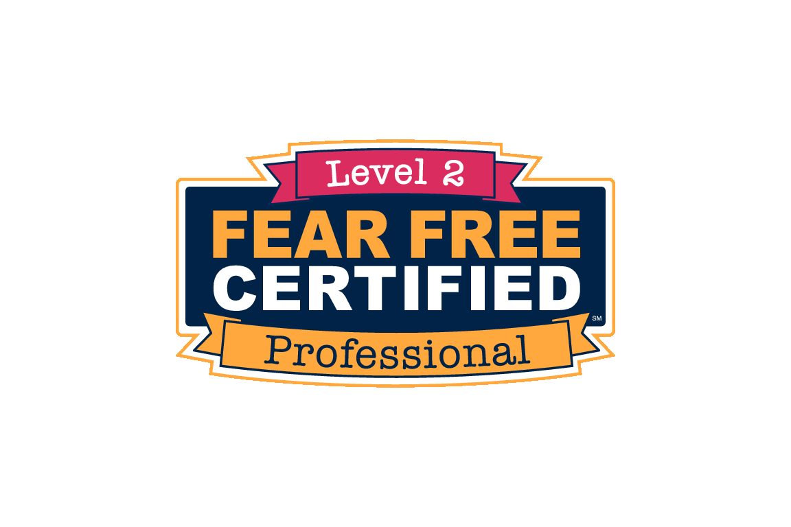 161 Fear Free Level 2 Certification during the Snow Storm of 2021